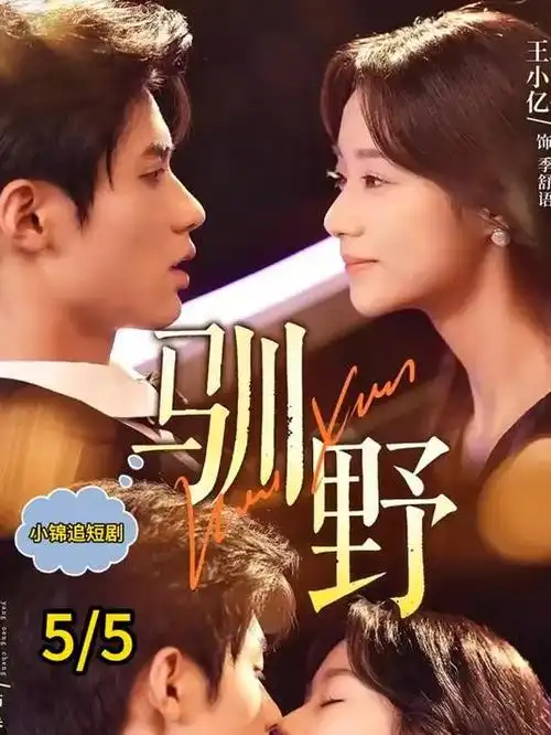 钢之炼金术师原型档案详图，展示等价交换规则与代价清算结构